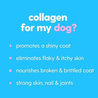 120ml Pet Collagen Drops